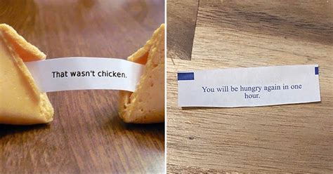 funniest fortune cookie|More.